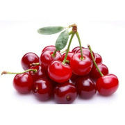 Acerola Cherry Extract
