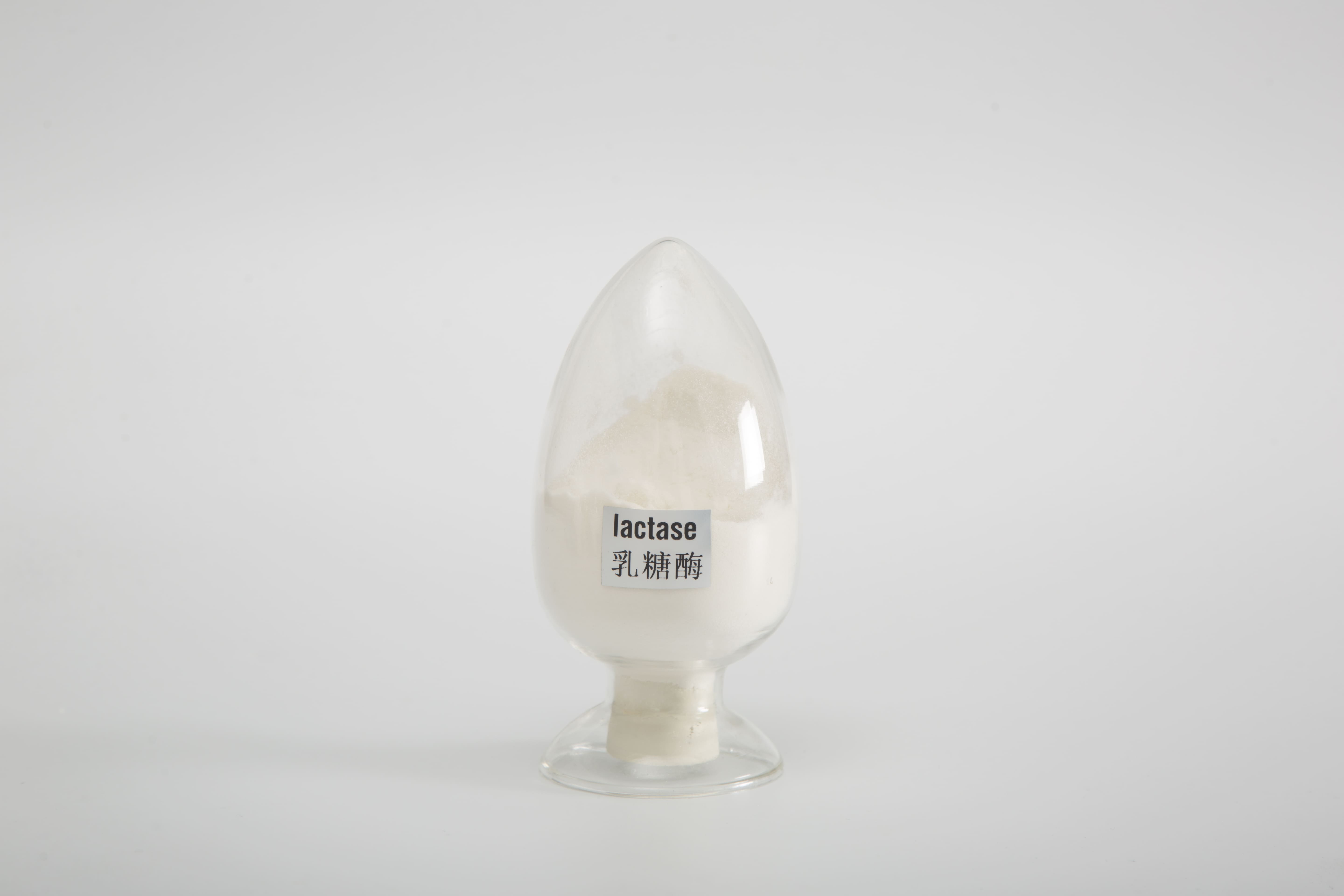Acid Lactase (β-galactosidase) 100,000 ALU/g Powder