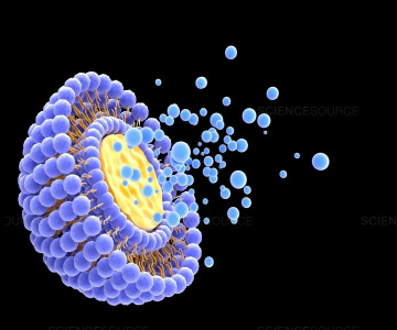 ACTISOMES - New Age Liposomes