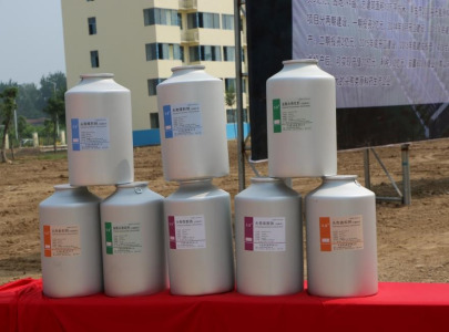 Active Pharmaceutical Ingredient (API)