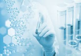 Active Pharmaceutical Ingredients