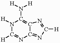Adenine USP-NF