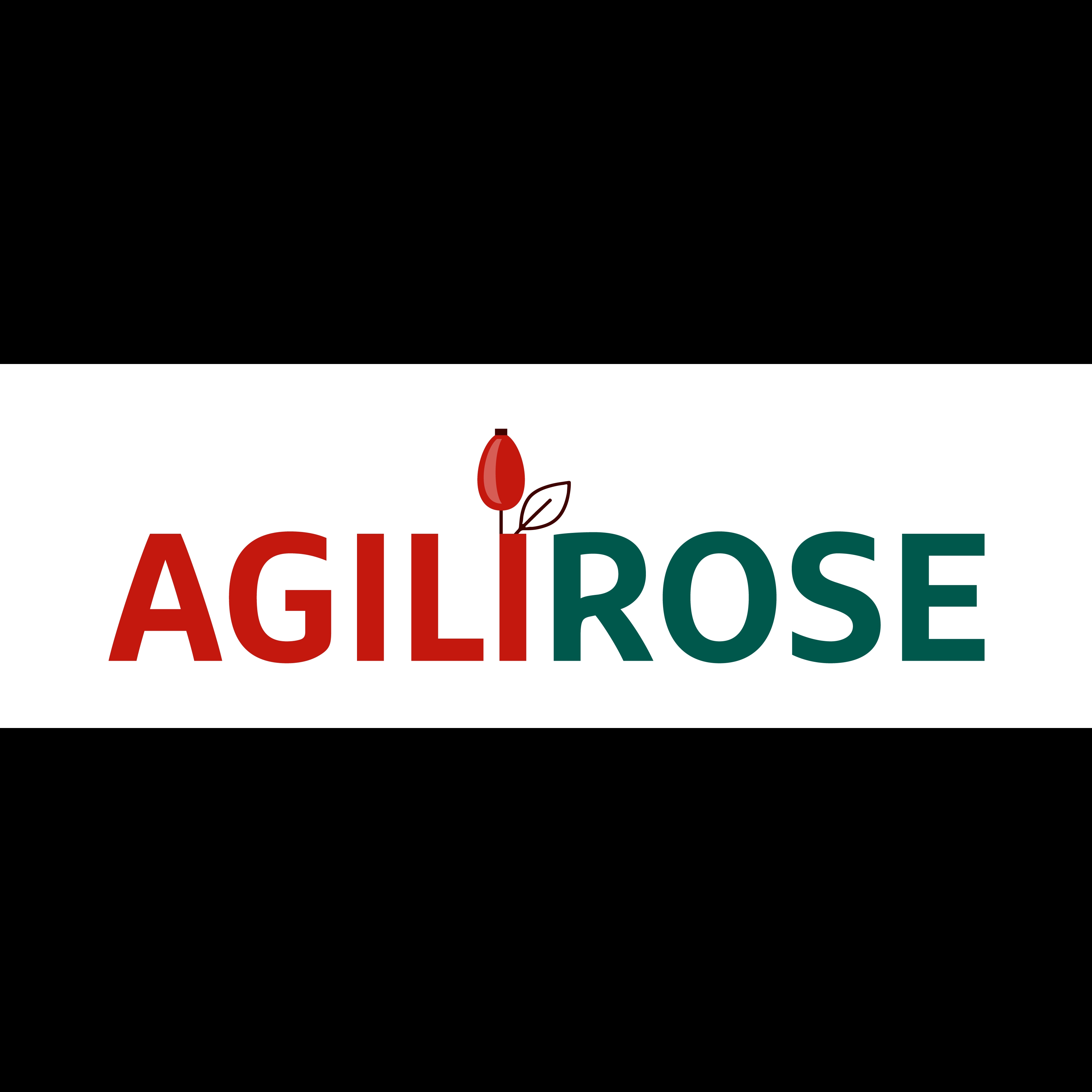 AGILIROSE - Rose Hips (Rosa Ssp.) 2