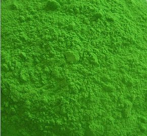 AJANTA BASIC APPLE GREEN