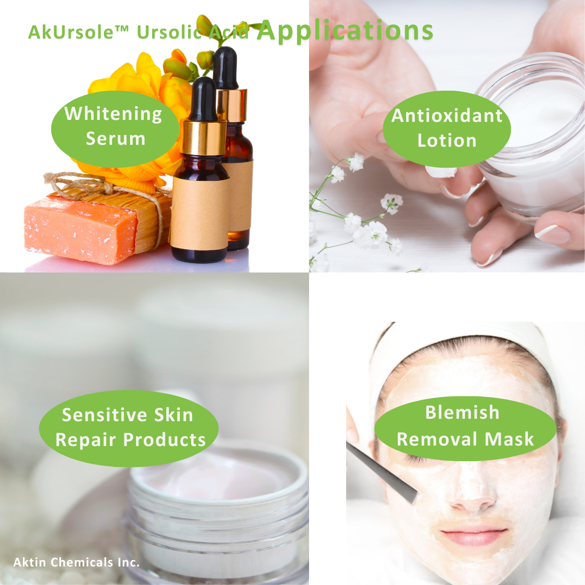 AkUrsole® Ursolic Acid 3
