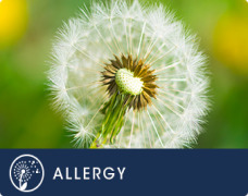 Allergy