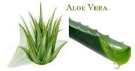 Aloe extract