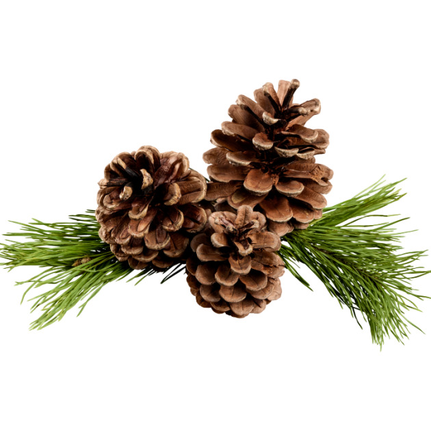 Alpha-Pinene