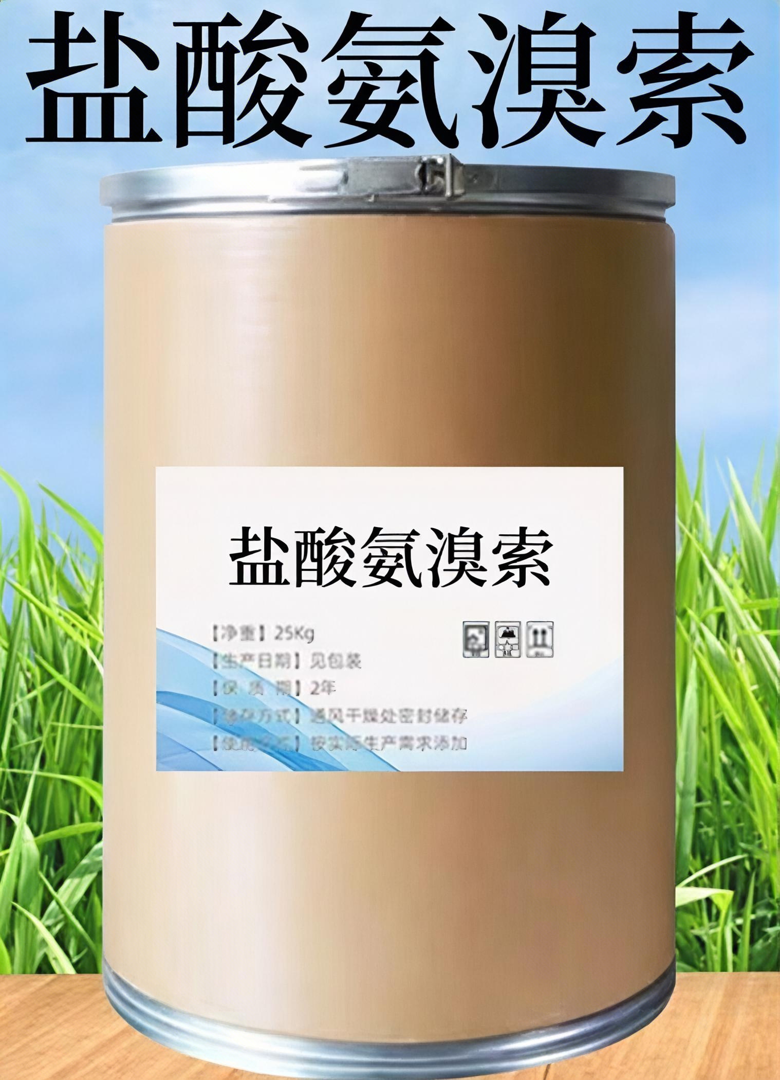 Ambroxol Hydrochloride / Ambroxol HCL