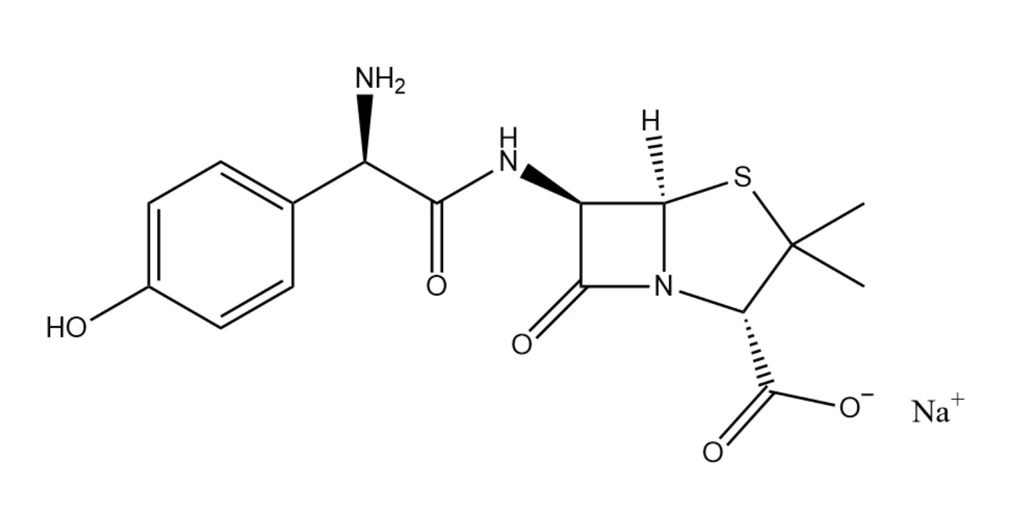 Amoxicillin Sodium and Sulbactam Sodium for Injection