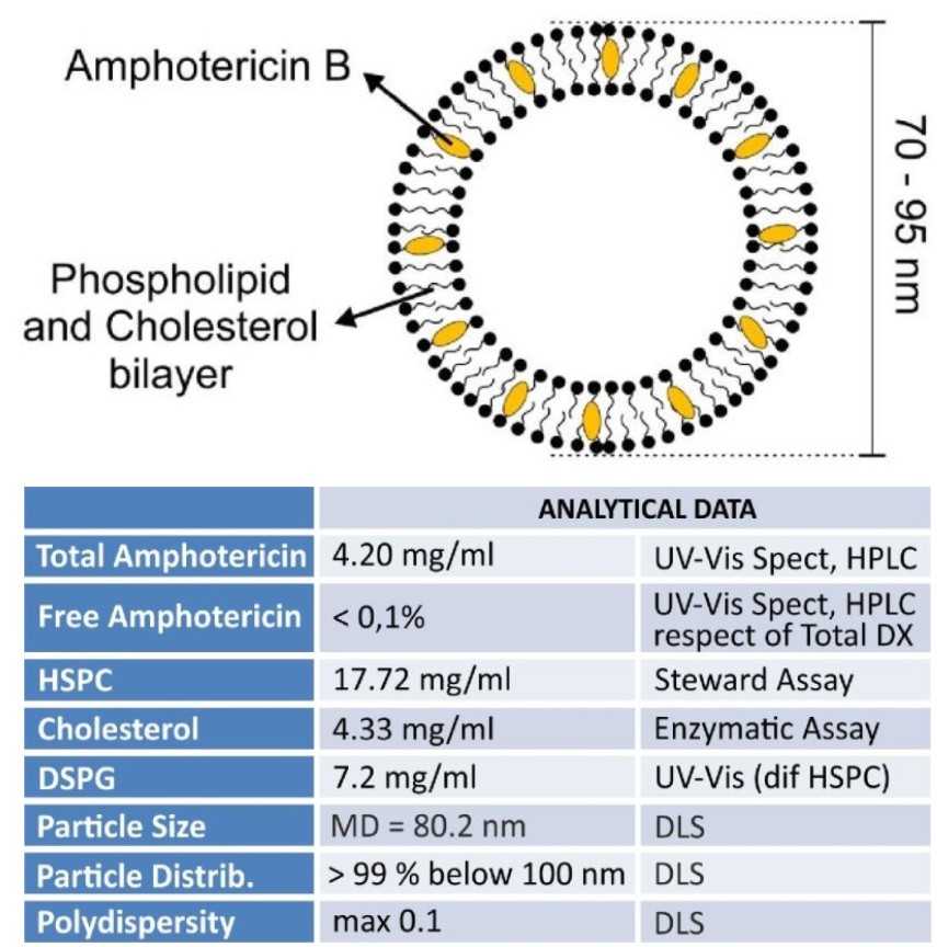 Ampholip