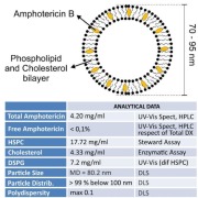 Ampholip