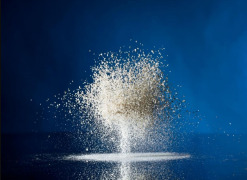 Amphotericin B