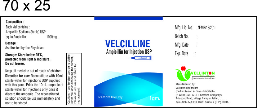 AMPICILLIN-1g