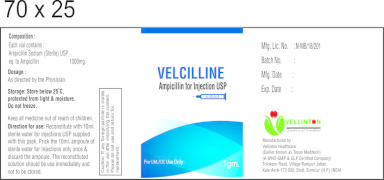 AMPICILLIN-1g