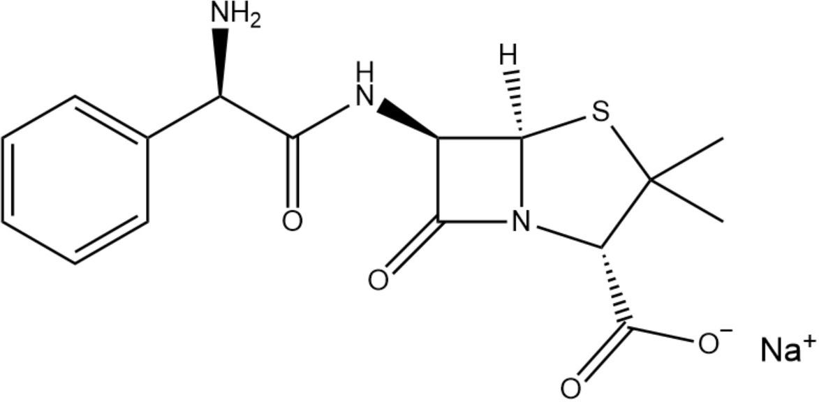Ampicillin Sodium and Sulbactam Sodium for Injection