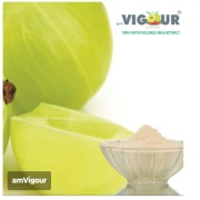 AmVigour™