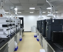 Analytical Development