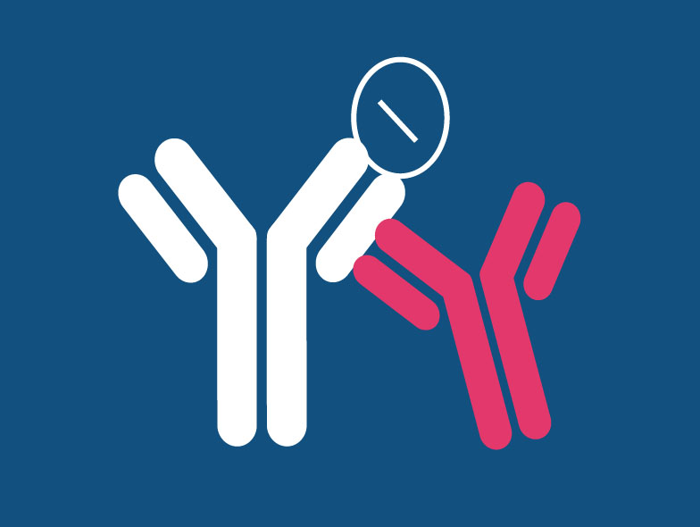 Anti-Drug Antibody Analysis