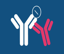 Anti-Drug Antibody Analysis