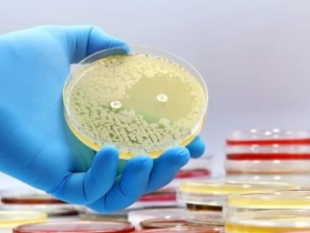 Antibiotic Potency Assays