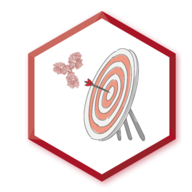 Antibody DISCOVERY