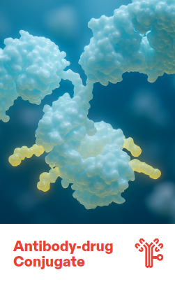 Antibody Drug Conjugate (ADC) Contract Manufacturing