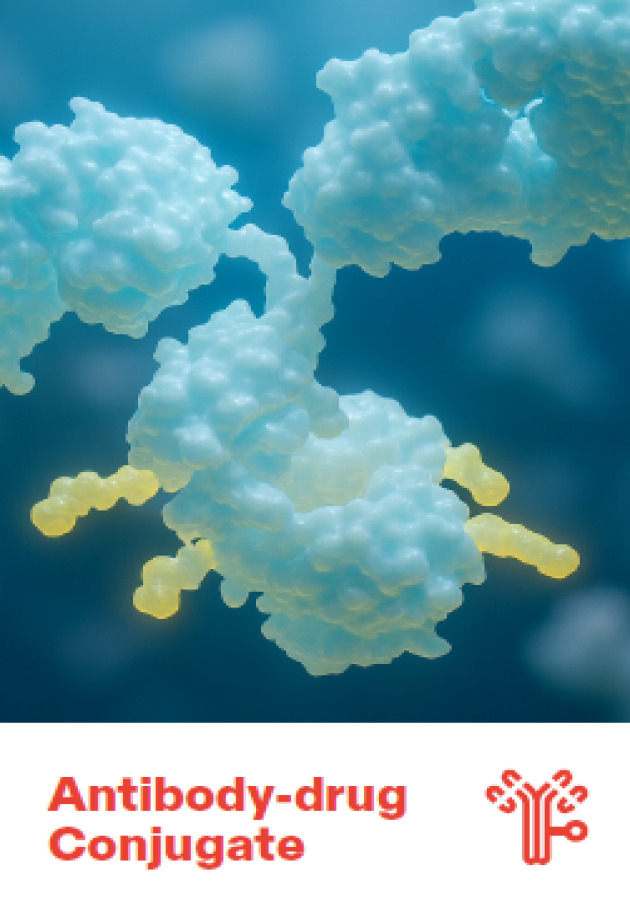 Antibody Drug Conjugate (ADC) Contract Manufacturing
