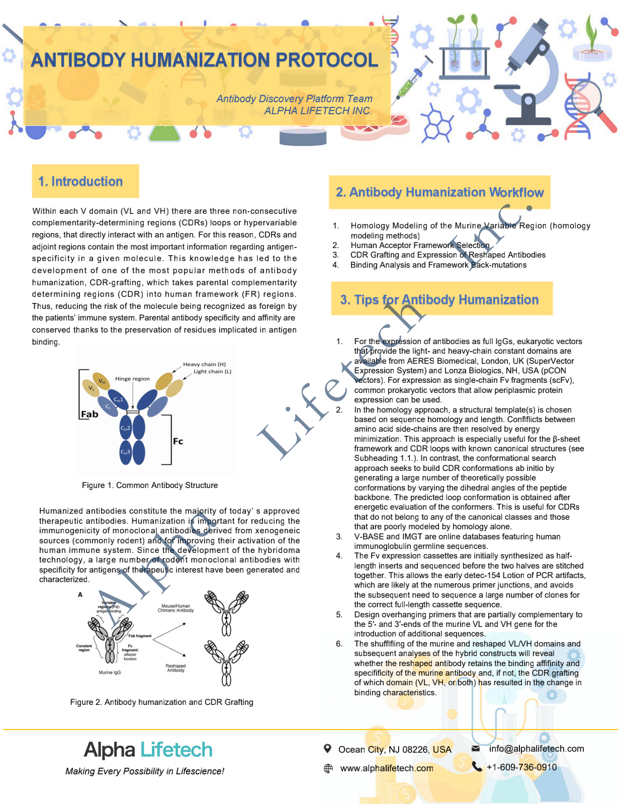 Antibody Humanization Service