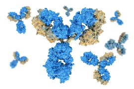 Antibody / Monoclonal antibody therapeutics services