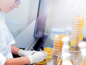 Antimicrobial Effectiveness Testing (AET) – USP <51>