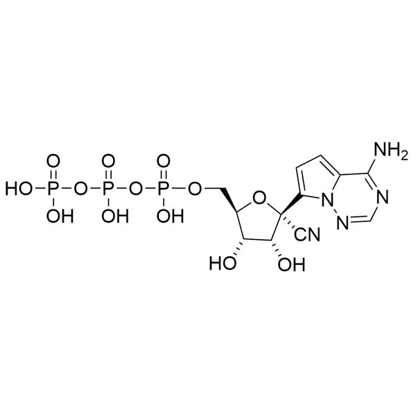 Antiviral nucleosides and nucleotides