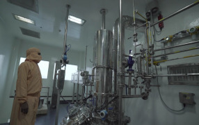 API/Formulation Manufacturing Services