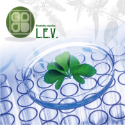 APIs– Medicinal Plant Extracts and Tinctures
