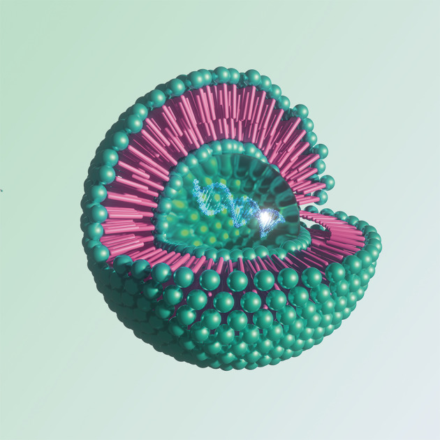 Applied R&D in Nanomedicine