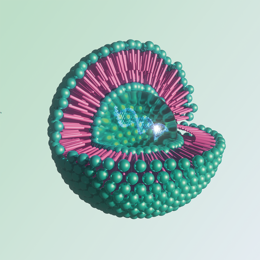 Applied R&D in Nanomedicine 1