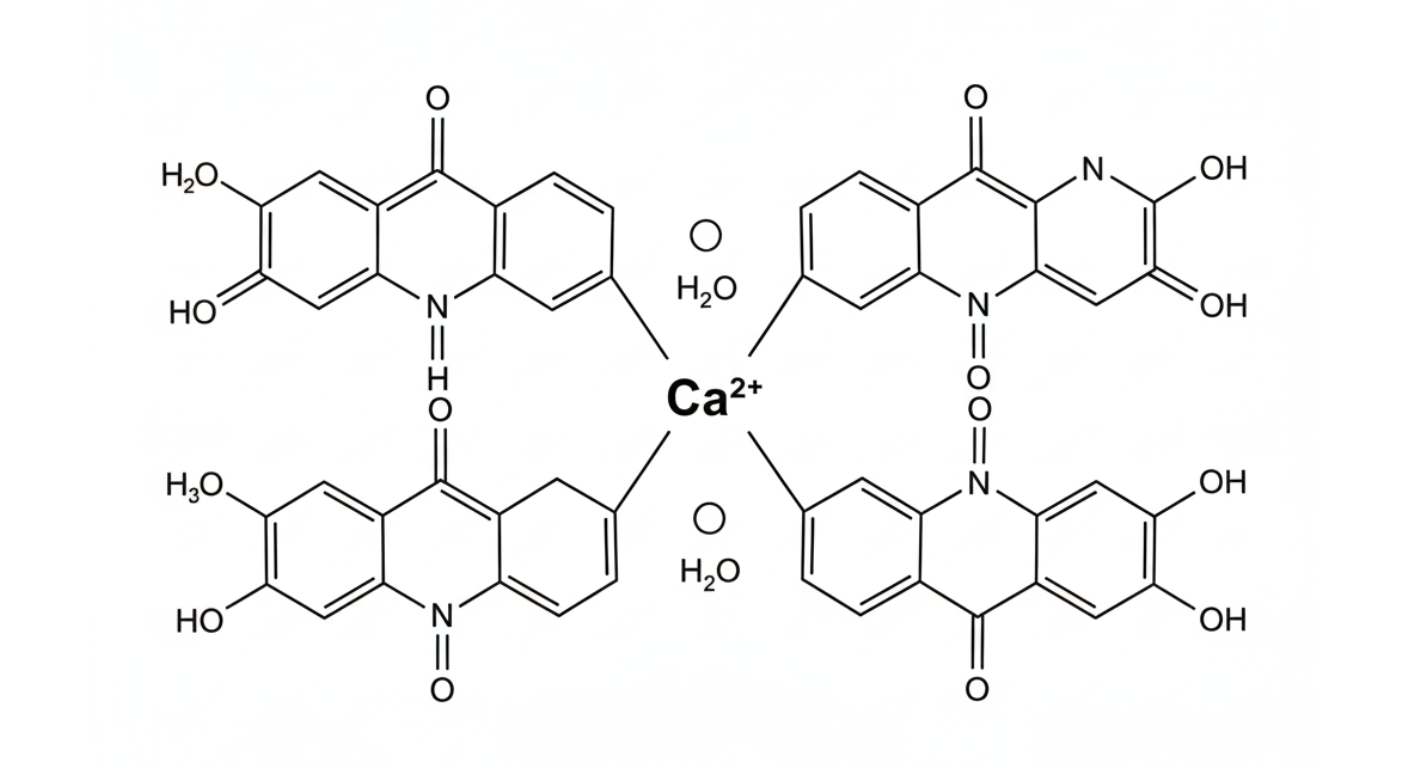 Atorvastatin Calcium