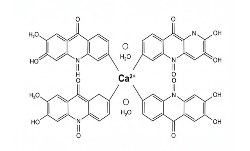 Atorvastatin Calcium