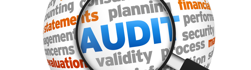 Audit Activity