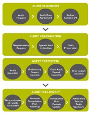 Audit lifecycle