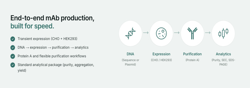Axio Forge — Research-Grade Antibody Production