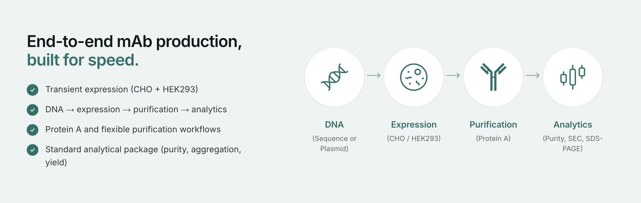 Axio Forge — Research-Grade Antibody Production 1