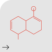 Azithromycin dihydrate