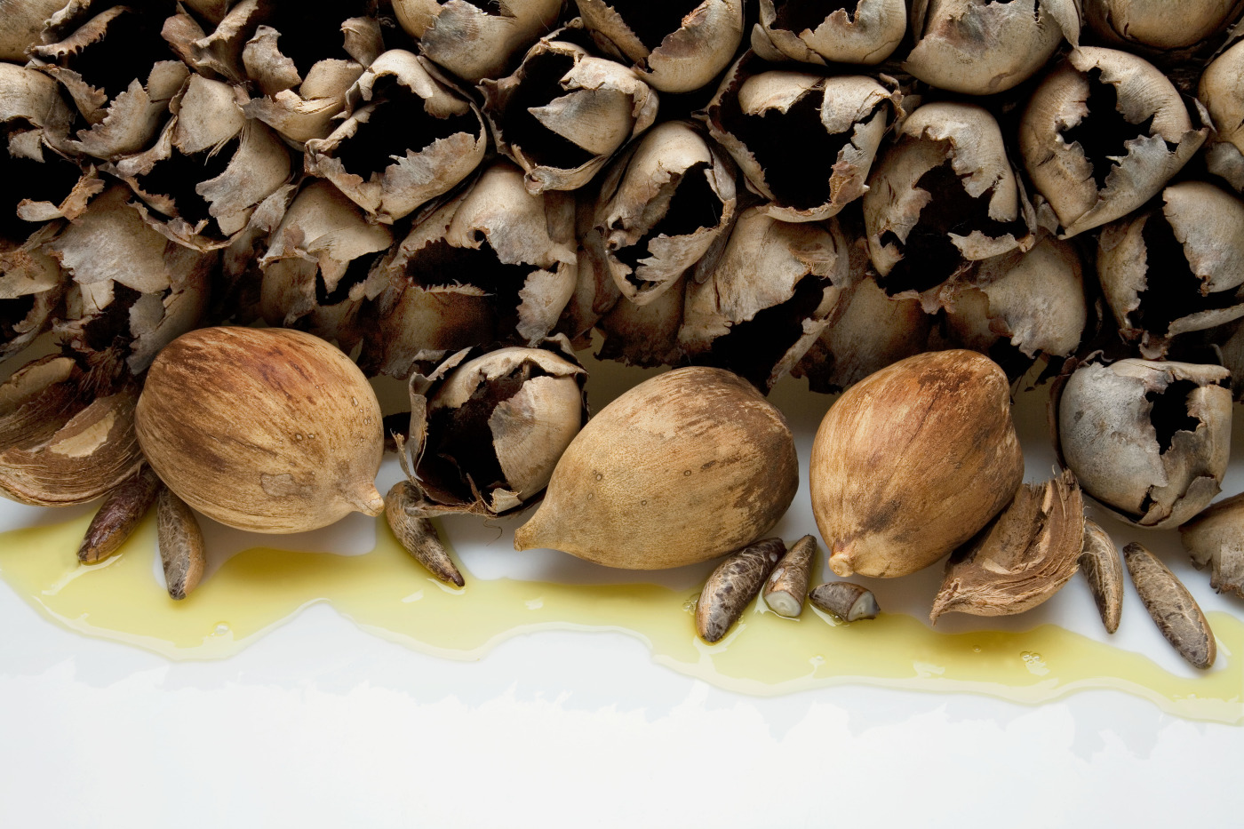 Babassu Oil