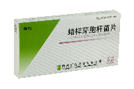 Bacillus cereus