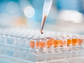 Bacterial Endotoxin Testing