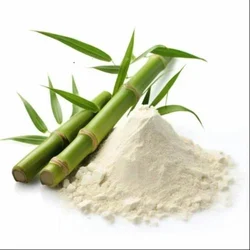Bamboo Shoot Extract