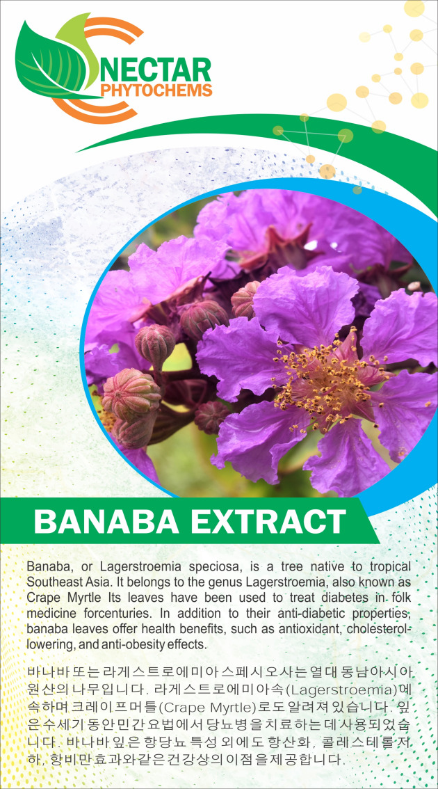 Banaba Extract