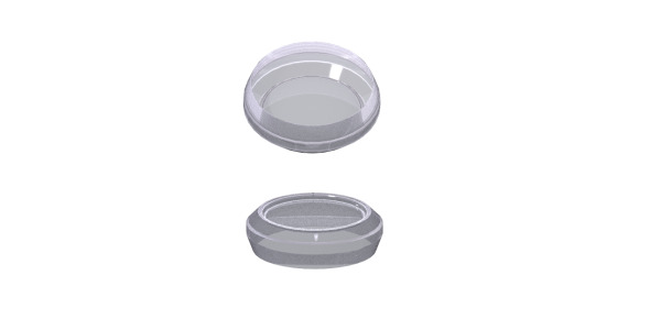 Base Caps