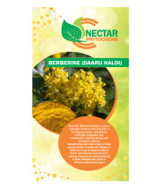Beberine 98%